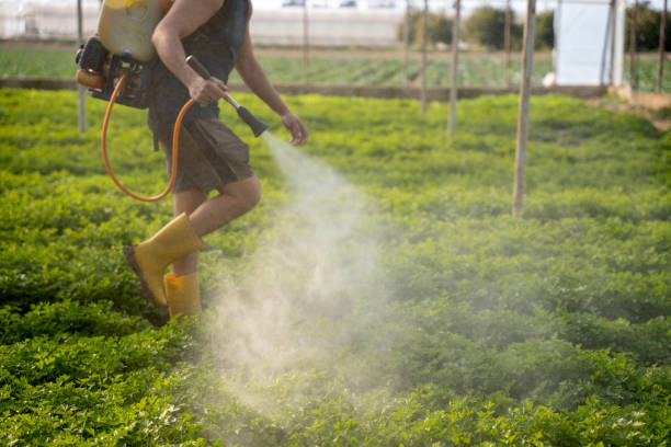 Best Exterminator Services  in Mcfarland, WI