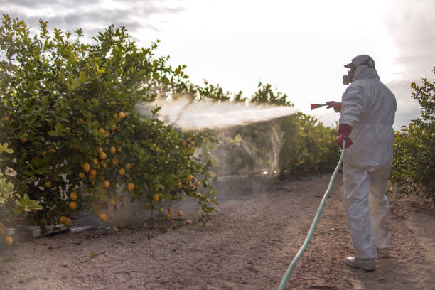 Best Wasp Removal Services  in Mcfarland, WI
