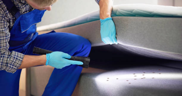 Best Bed Bug Extermination  in Mcfarland, WI