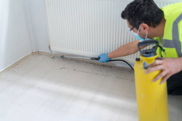 Best Flea Control Services  in Mcfarland, WI