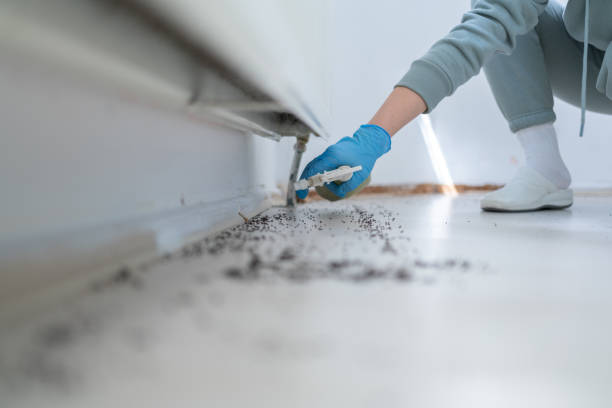 Best Termite Control Services  in Mcfarland, WI